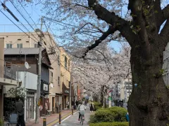 小説:ただいま。